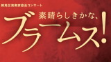 練馬区演奏家協会コンサート　素晴らしきかな、ブラームス！