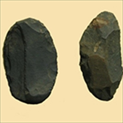 東早淵遺跡出土の局部磨製石斧