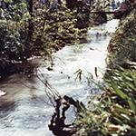 千川上水記録フィルム　練馬区中村北付近（推定場所）