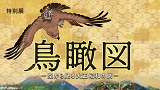 特別展「鳥瞰図ー空から見る大正 昭和の旅ー」