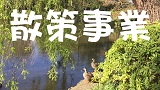 ー受付終了ー【散策事業】歴史ガイドツアー～都立石神井公園内石神井城跡をめぐる～