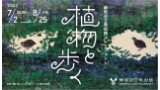 「植物と歩く」展　 特別コンサート　※申込は締め切りました。