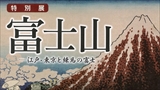 【特別展関連イベント】展示解説