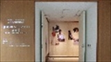 常設展　展示解説