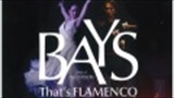 「BAYS～That's FLAMENCO」　ARTE Y SOLERA(鍵田真由美・佐藤浩希フラメンコ舞踊団）