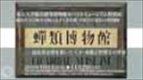 平成27年度特別展「蝉類博物館－昆虫黄金期を築いた天才・加藤正世博士の世界」