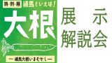 特別展関連イベント「学芸員による展示解説会」